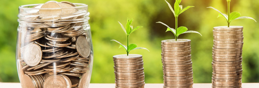 What to Expect from Savings Account Rates in 2024 and Tips for Auto Loan Savings